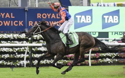 Think it Over takes out the Group 1 Verry Elleegant Stakes