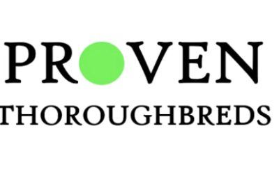 Proven Thoroughbreds Open Day, Sunday 14 April 2024 – come along!