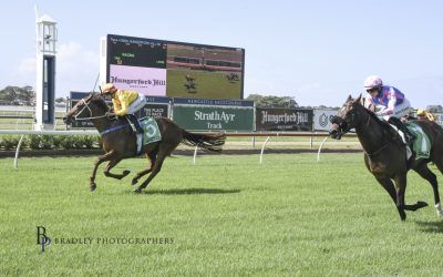 Callistemon Wins at Newcastle on 21 March 2024
