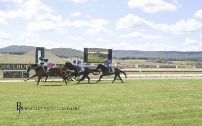 Flying Bandit Swoops and Takes the Win at Goulburn on 24 March 2024