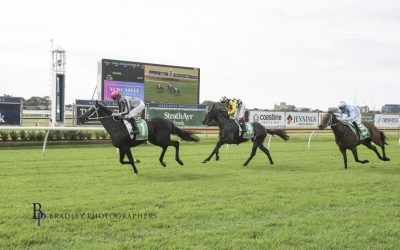 So Sleek Took Home the Win at Newcastle on 25 May 2024