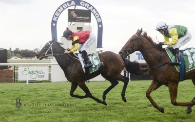 Let’s Go Again – Winner at Kembla Grange on 28 September 2024