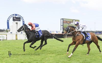 Equilibrist Wins at Home Track on 3 October 2024