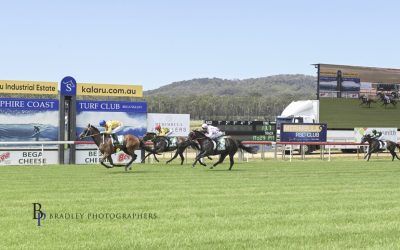 Cosmos Factory Wins Staying Test at the Sapphire Coast Carnival Day 1