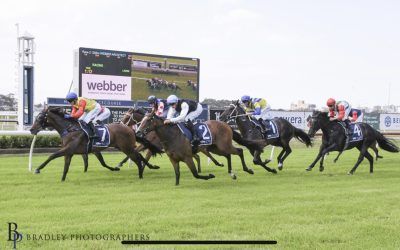 La Bella Bondi Wins Well Deserved Maiden Race at Newcastle on 15 February 2025