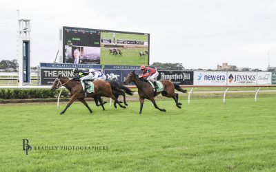 Elivina Breaks Her Maiden at Only Her Second Race Start