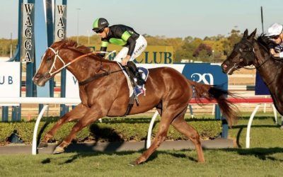 Flying Bandit Storms Home for Emphatic Win in the Listed Wagga Gold Cup 2025