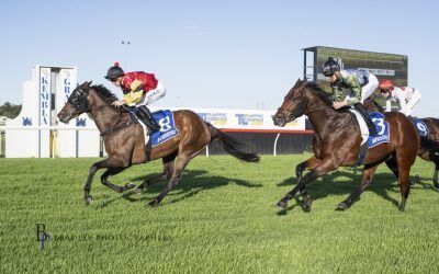 Let’s Go Again Dominates at Kembla for a Home Track Win