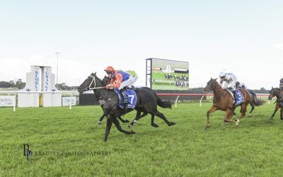 Big Win For Equilibrist at Home Track on 17 May 2025!
