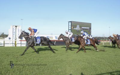 Another Home Track Win Brings Up Win Number Three For Equilibrist