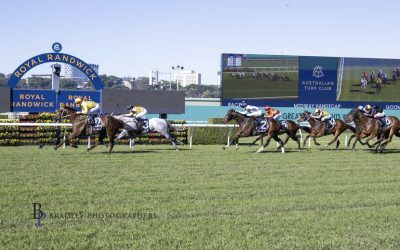 June 2025 – Midway Win For Callistemon