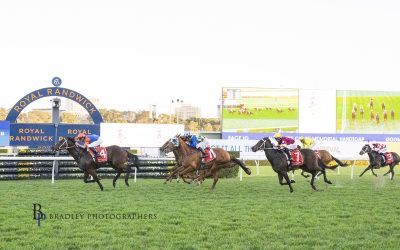 Well Timed is back and Looking the Goods With a First Up Win at Randwick