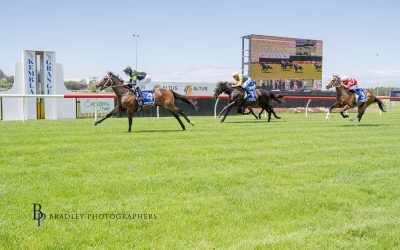 First Start Winner – Hinzel – Proven Thoroughbreds at Kembla Grange on 4 November 2025