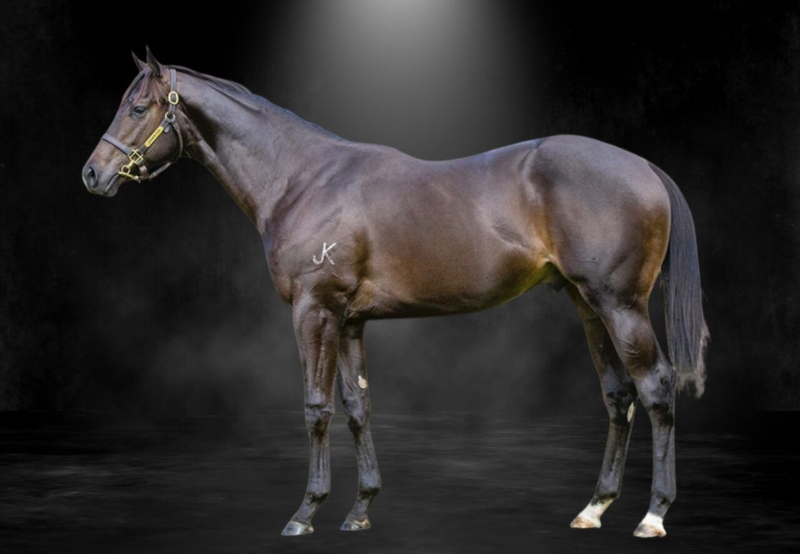 Ole Kirk X Fly Buy Fly