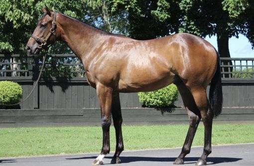 State Of Rest X Russian Glam