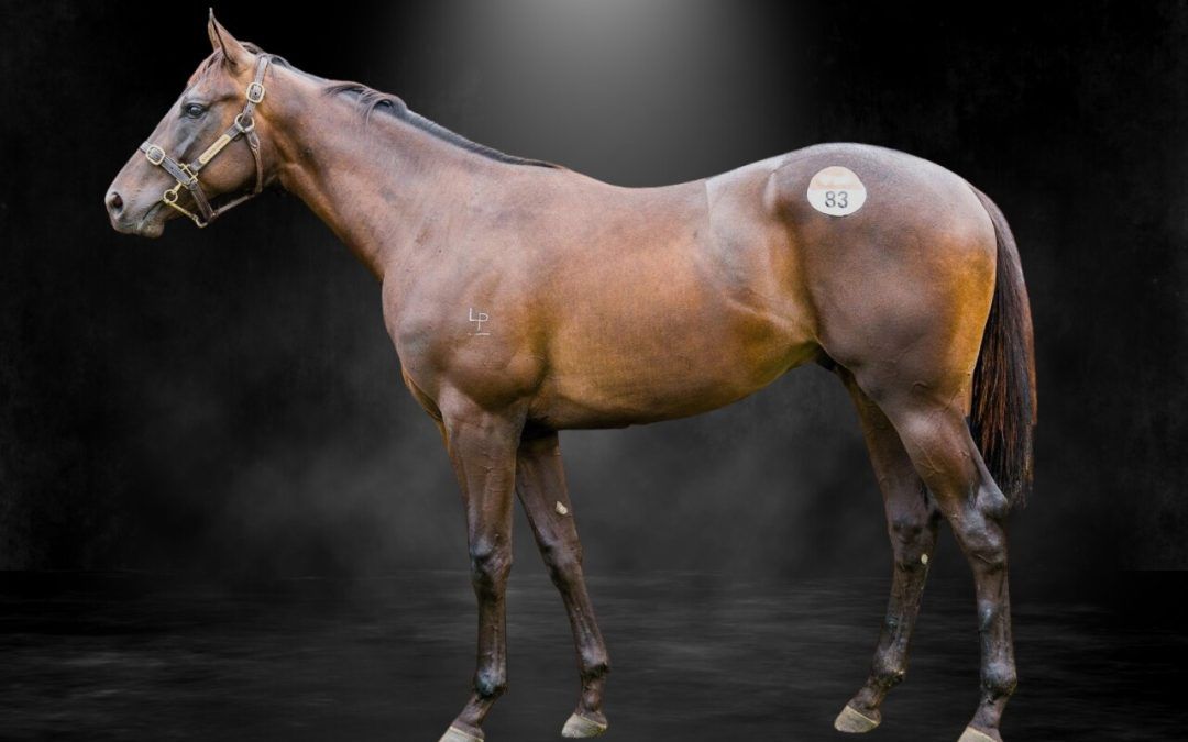 Shamus Award X Ingrid