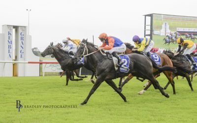Win Number 4 For Equilibrist