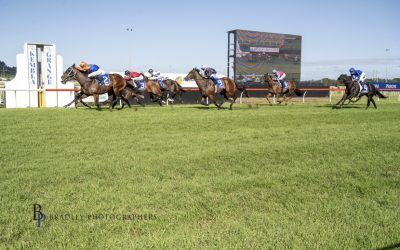 Well Timed Wins the Bert Lillye Memorial at Kembla Grange