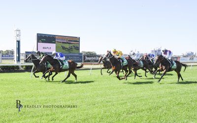 Bang On Time Wins at Newcastle on 11 April 2026
