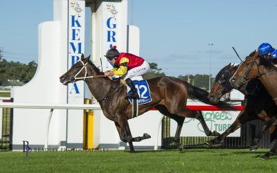 Win on the Board For Winning Rulet