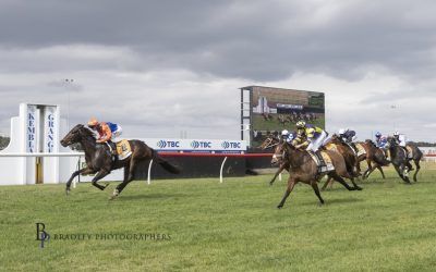Nice Maiden Win First Up For Rhythm of the Rein