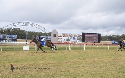 Back to Back Wins for Mrs Flanders