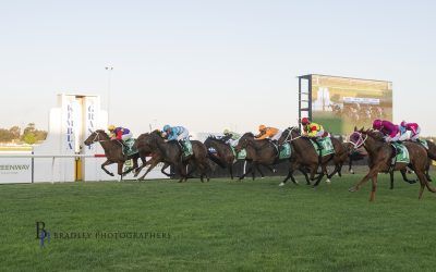 Tom Cruising Wins at Kembla Grange Meeting on 12 September 2026