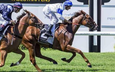 Trademark Win for Andrews Youngster
