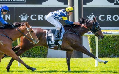 Andrews Out To Reign Supreme In Guineas