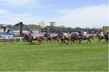 WINNING MELBOURNE CUP DAY –  WINNING DOUBLE