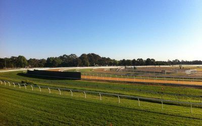 NEW TRACK FOR THE FARM