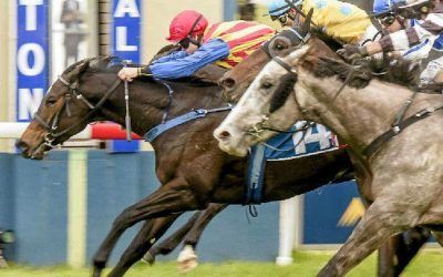 Braces Wins Grafton Guineas