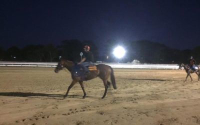 Big Girl coming off the track this morning