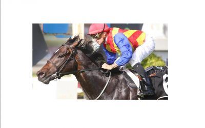 PIERATA First Up Win At Doomben