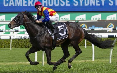 PIERATA runs in the ALL AGED STAKES