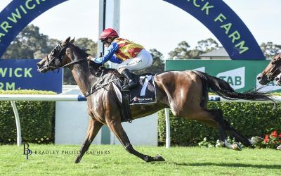 Another Win at Warwick Farm for Travest