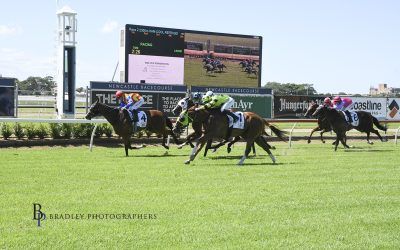 Insider Trader wins his Seventh Race