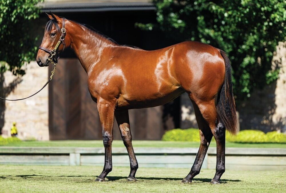 Un-named (In The Congo – Ostentatious)