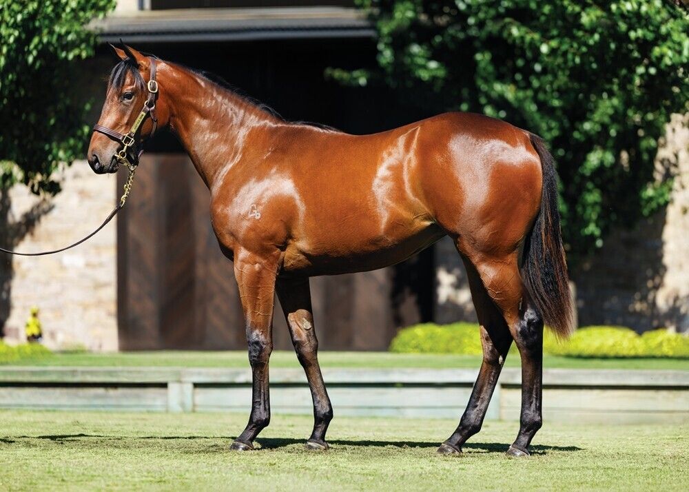 Un-named (In The Congo – Ostentatious)