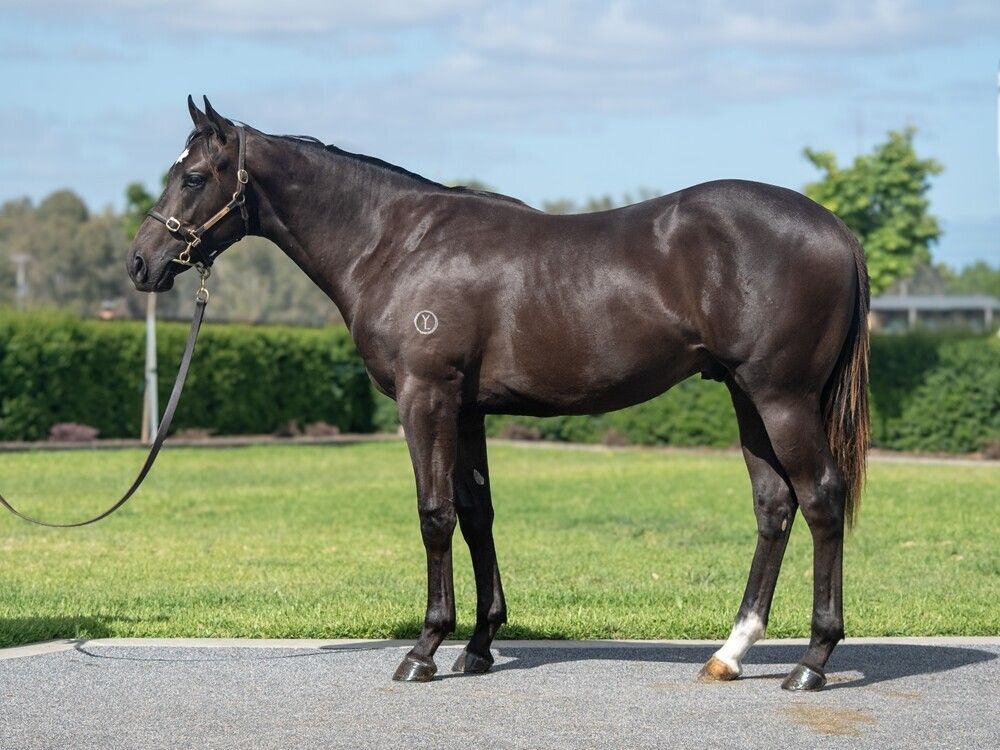 Un-named (Pierata – Yulong Space)