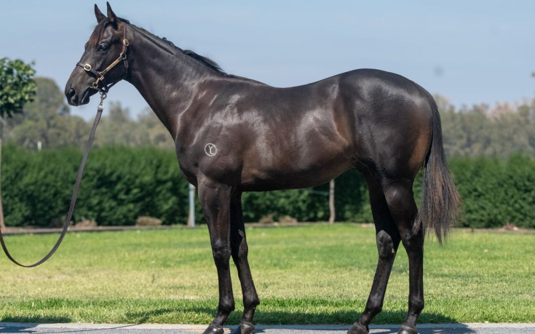 Un-named (Alabama Express – Older Than Time)