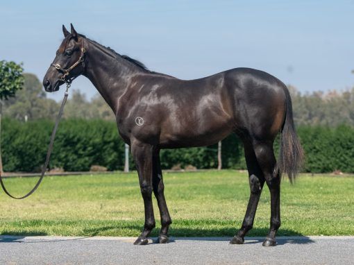 Un-named (Alabama Express - Older Than Time)