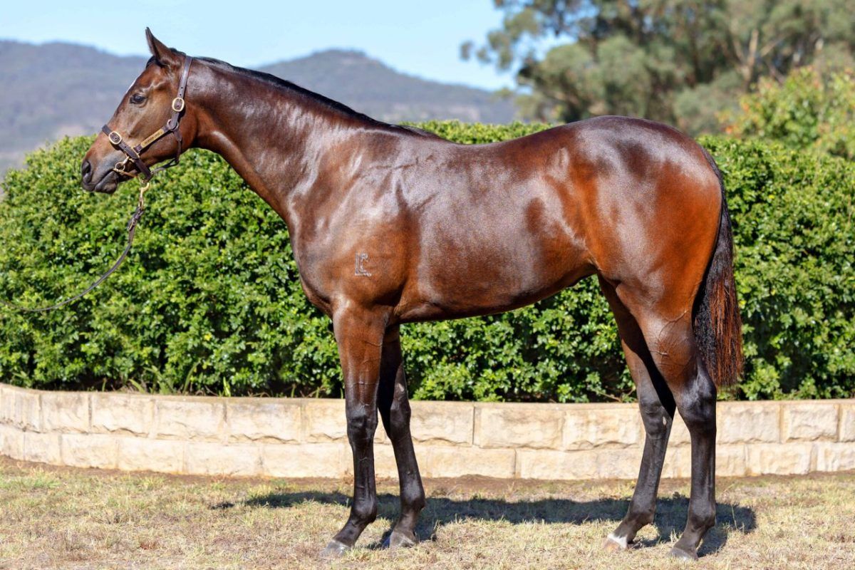 Un-named (Exceedance – Society)