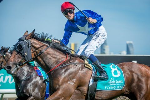 Hall of Fame - Prime Thoroughbreds