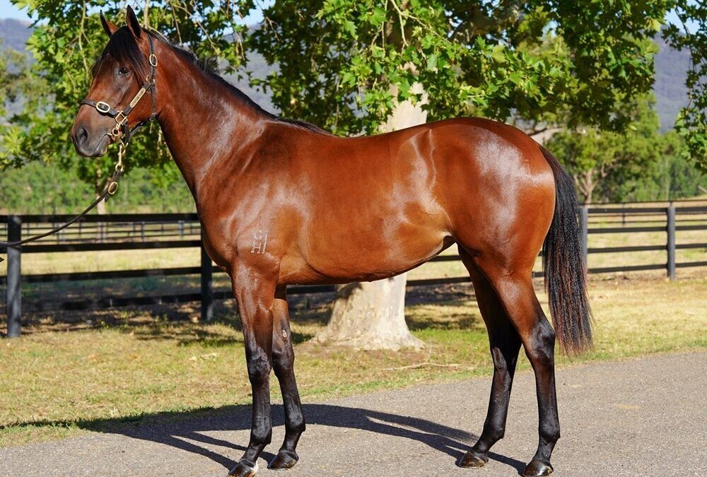 Un-named (So You Think – Princess Lowry)