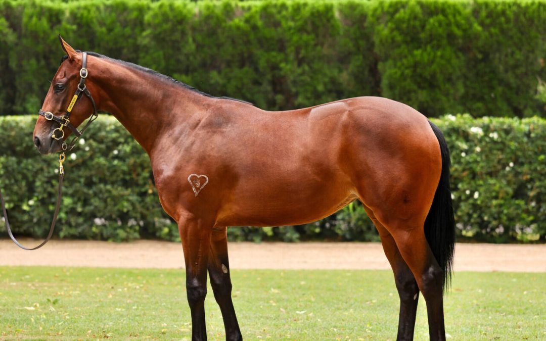 Un-named (Hellbent – Pixel Perfect)