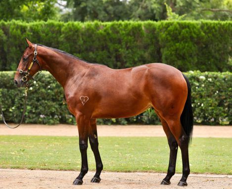 Un-named (Hellbent - Pixel Perfect)