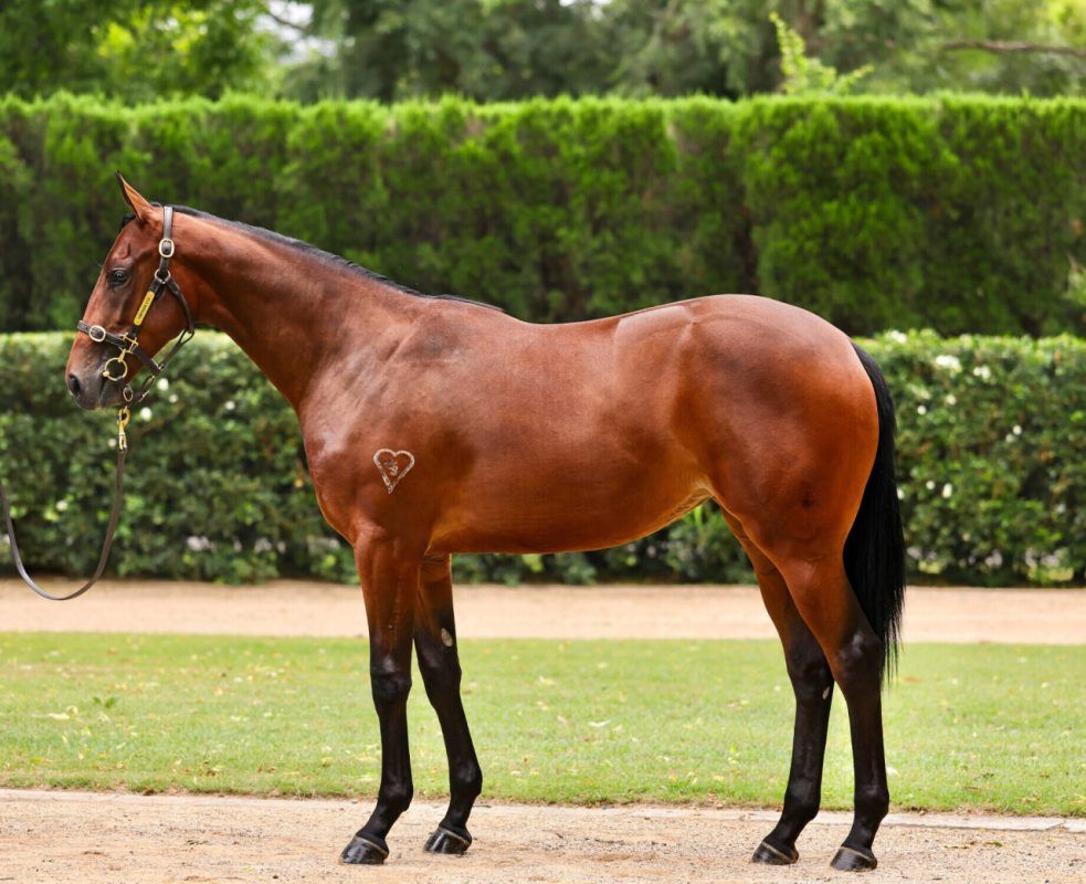 Un-named (Hellbent – Pixel Perfect)