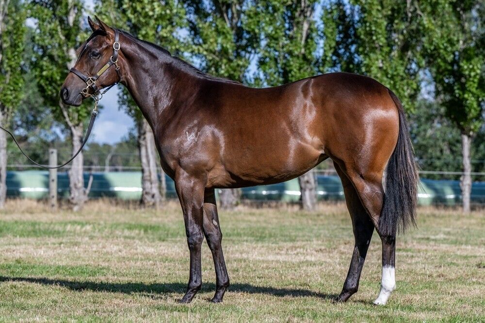 Un-named (Paulele – Ventura)