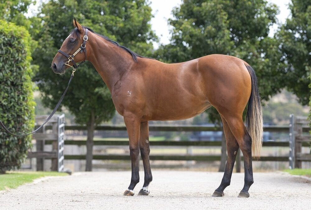 Un-named (Tiger Of Malay – Double Rock)